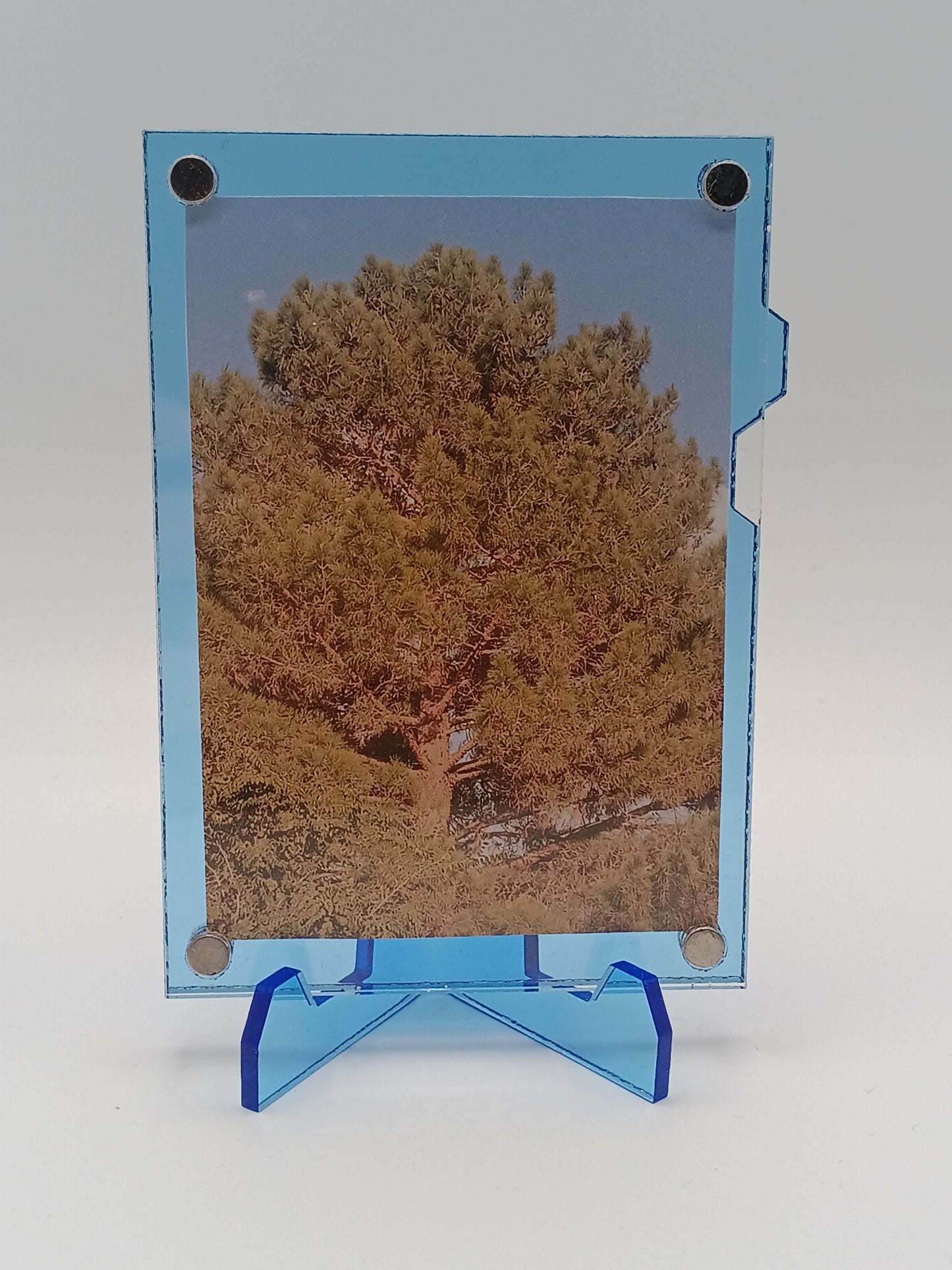 Easy Open Blue Magnetic Card Display Case