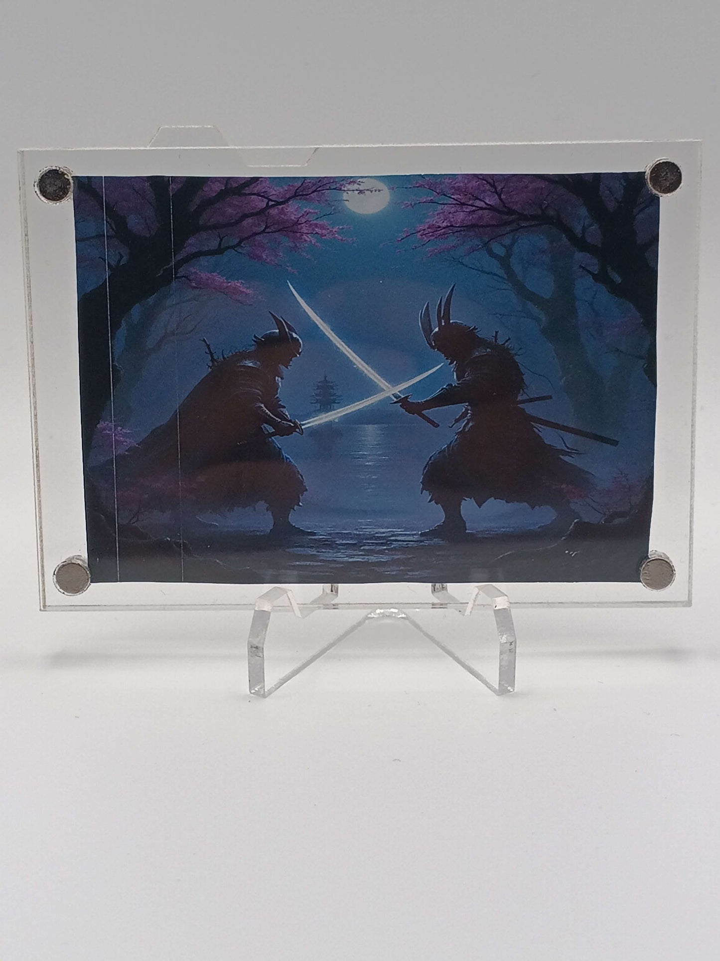 Easy Open Clear Magnetic Card Display Case