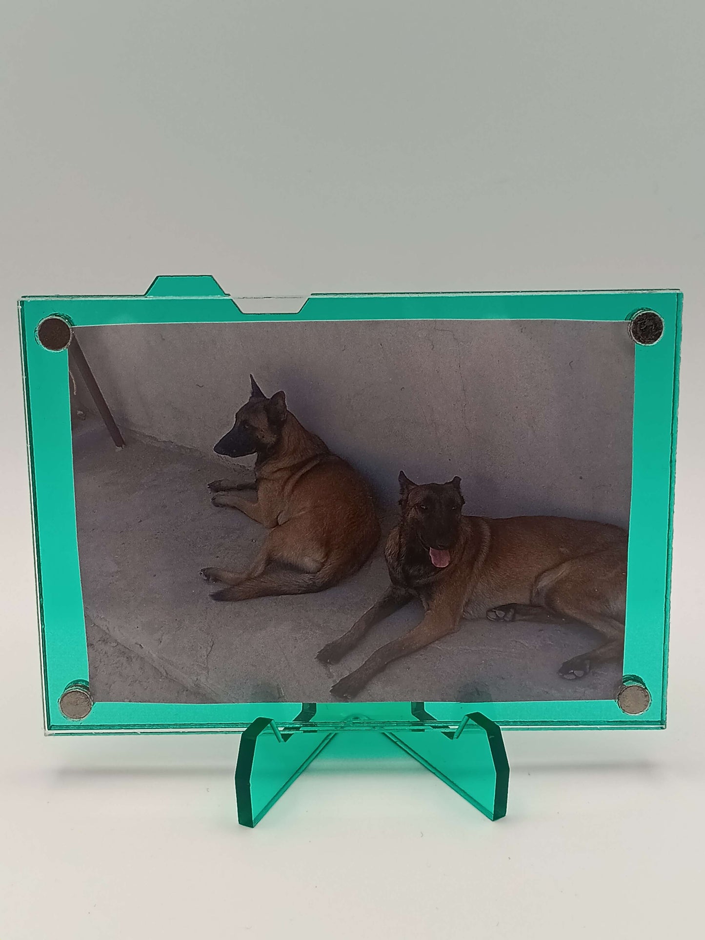 Easy Open Emerald Magnetic Card Display Case