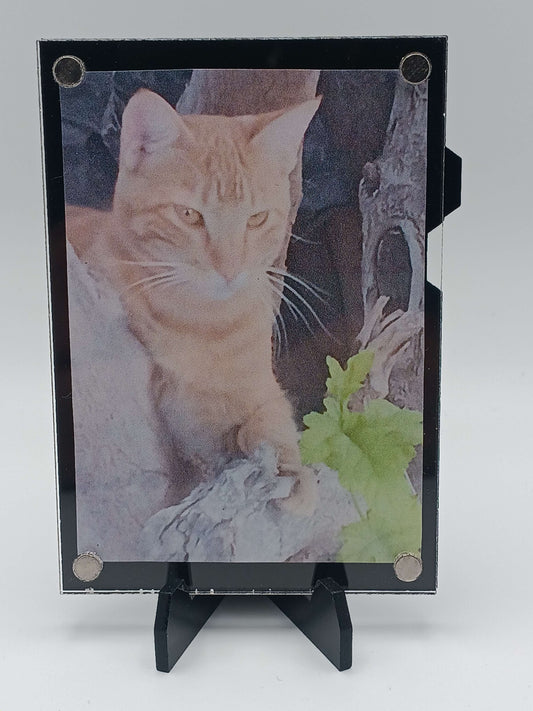 Easy Open Black Magnetic Card Display Case