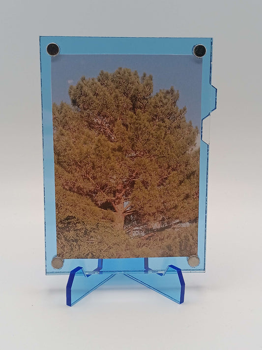 Easy Open Blue Magnetic Card Display Case