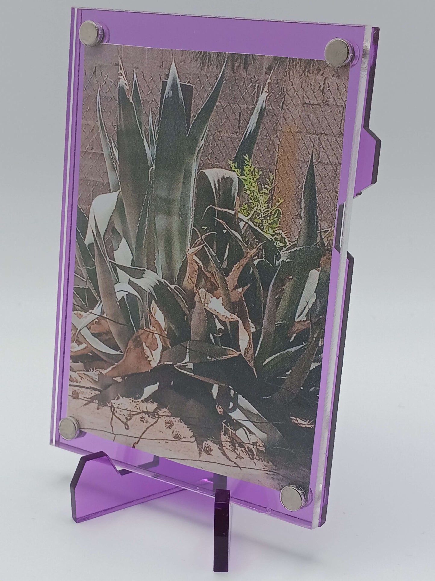 Easy Open Purple Magnetic Card Display Case