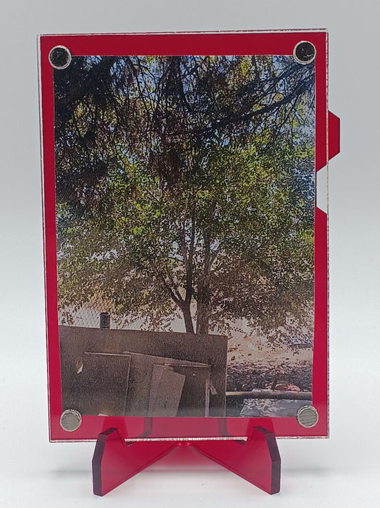 Easy Open Red Magnetic Card Display Case